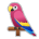 Parrot