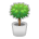 Potted Plant