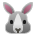 Rabbit Face