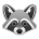 Raccoon