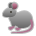 Rat