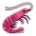 Shrimp