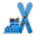 Skis