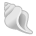Spiral Shell