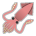 Squid
