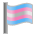 Transgender Flag