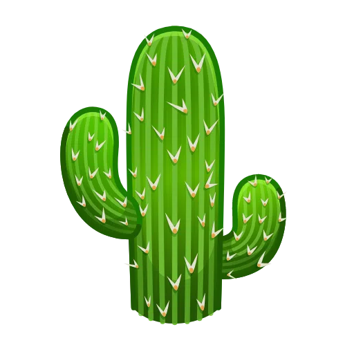 Kaktus