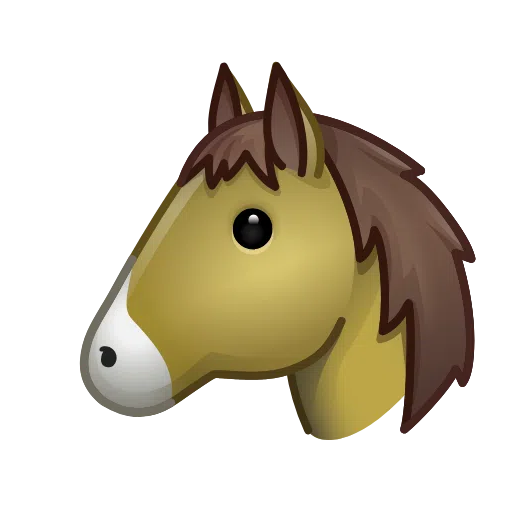 Koňská tvář
