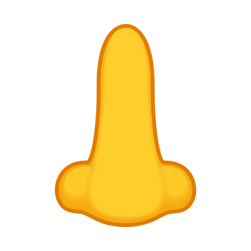 Nos