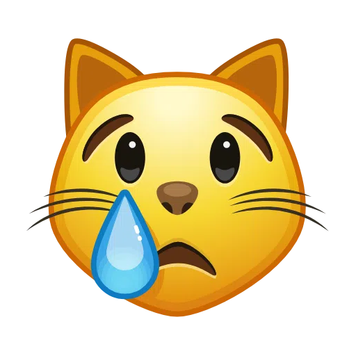 哭泣的猫