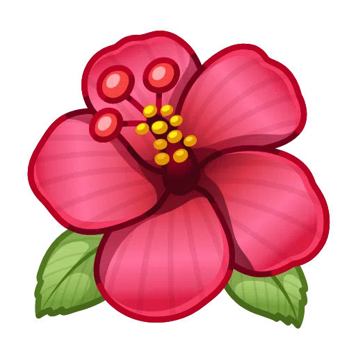 芙蓉