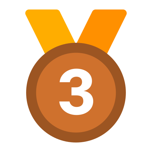 3rd Place Medal 3rd Place Medal