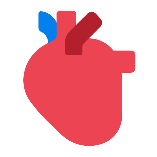 Anatomical Heart