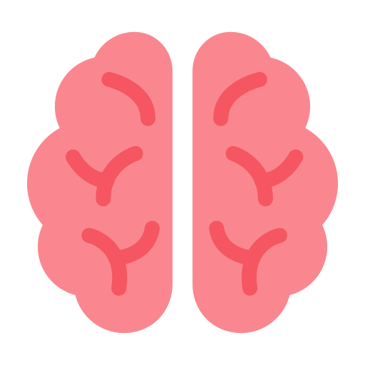 Brain