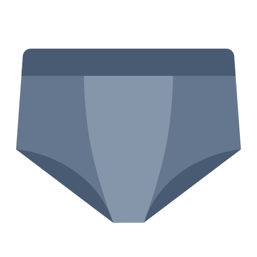 Briefs Briefs