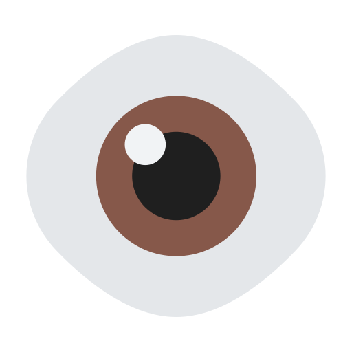 Eye