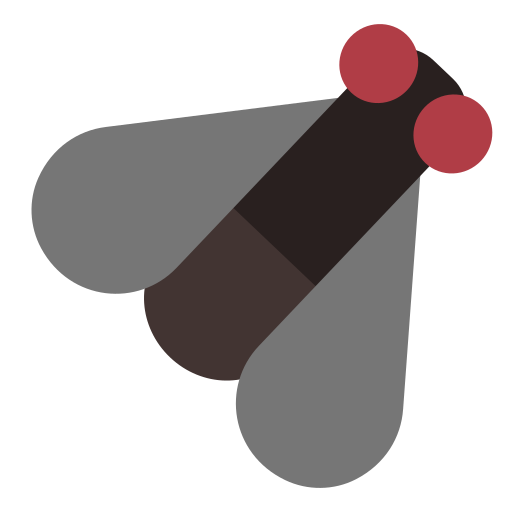 Fly