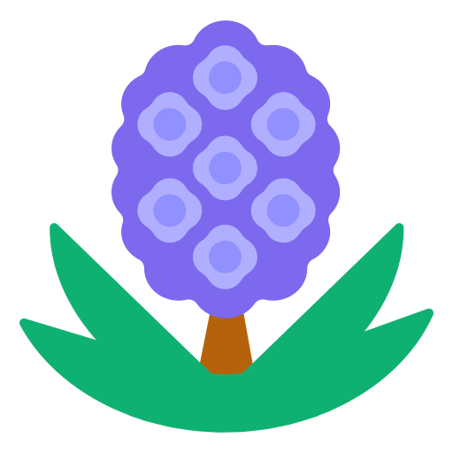 Hyacinth