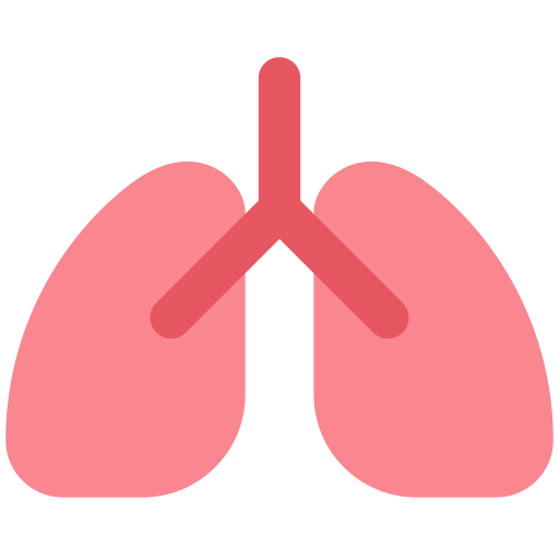 Lungs