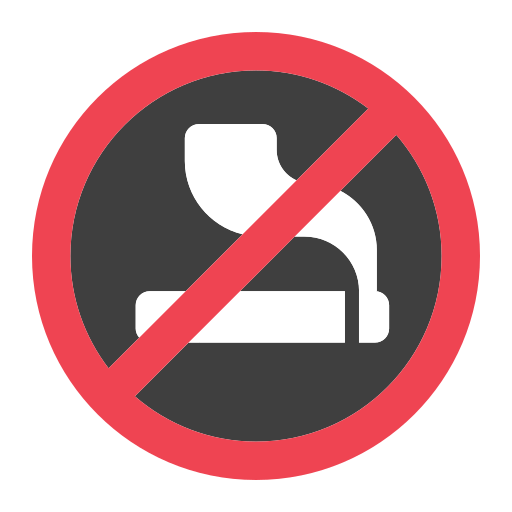No Smoking No Smoking