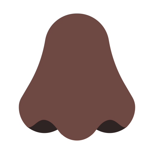 Nose: Dark Skin Tone