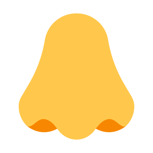 Nose