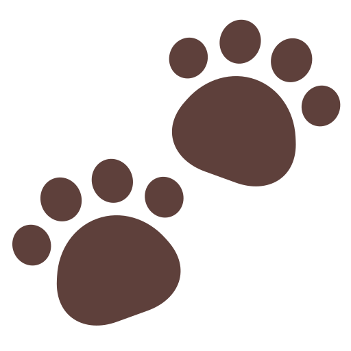 Paw Prints