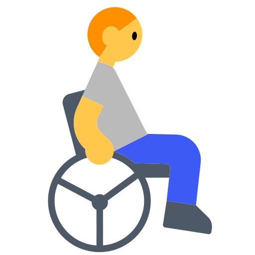 Person in Manual Wheelchair