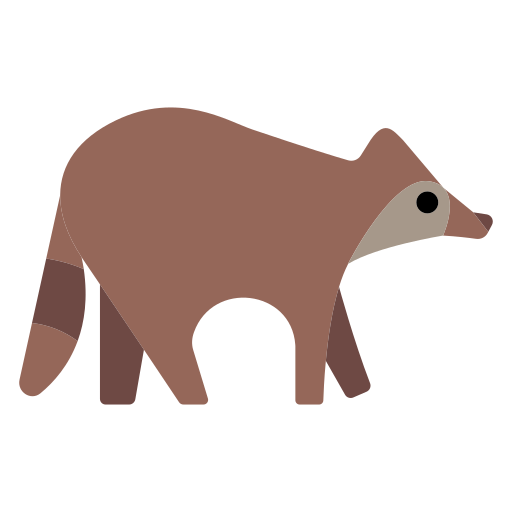 Raccoon