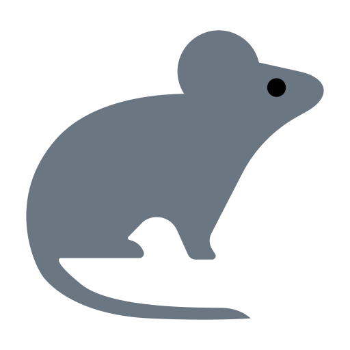 Rat