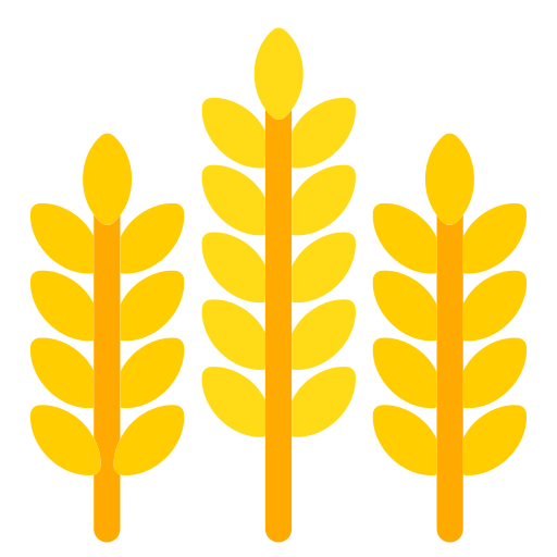 Sheaf of Rice