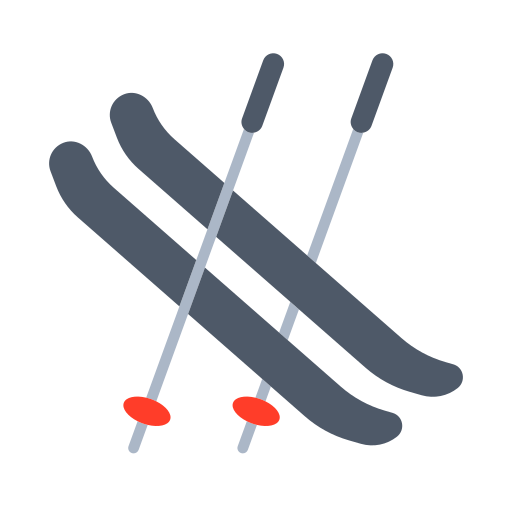 Skis Skis