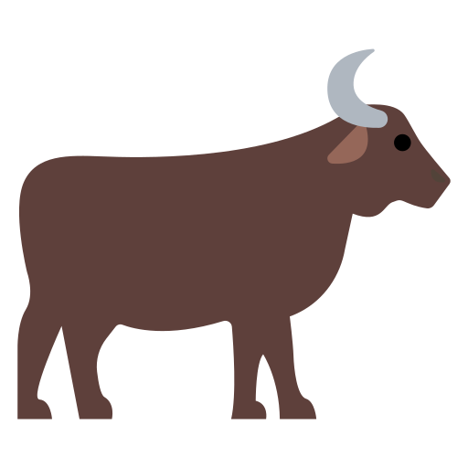 Water Buffalo
