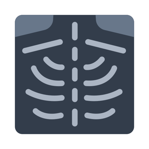 X-Ray X-Ray