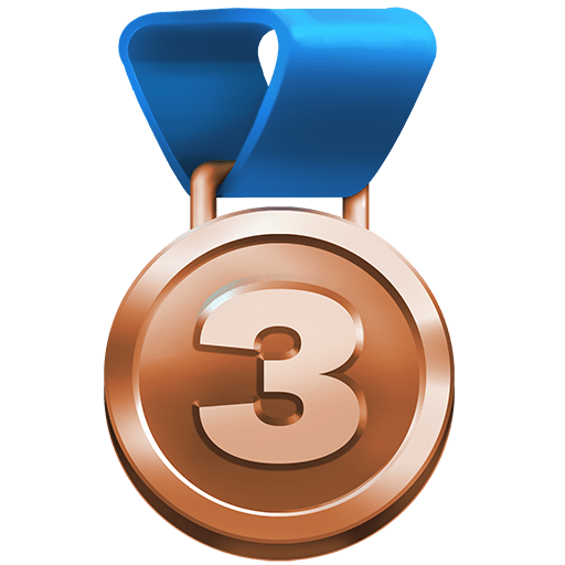 Medaglia Di Bronzo Medaglia Di Bronzo