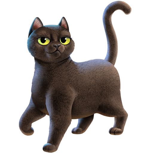 Gatto Nero