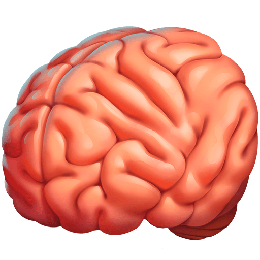 Cervello