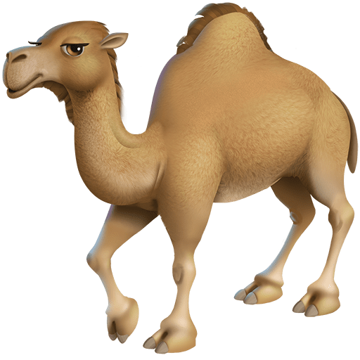 Dromedario