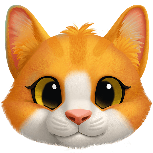 Muso Di Gatto