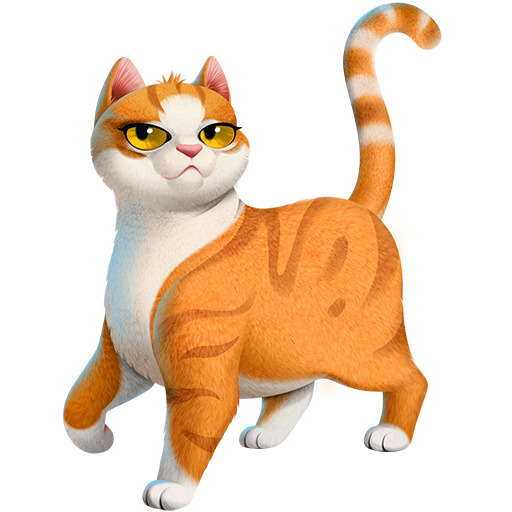Gatto