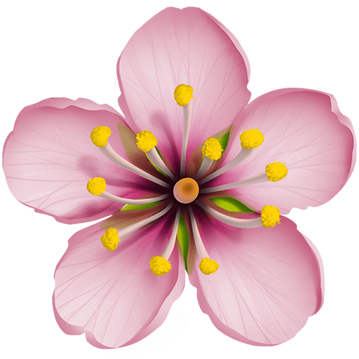 Fiore Di Ciliegio