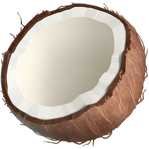 Cocco