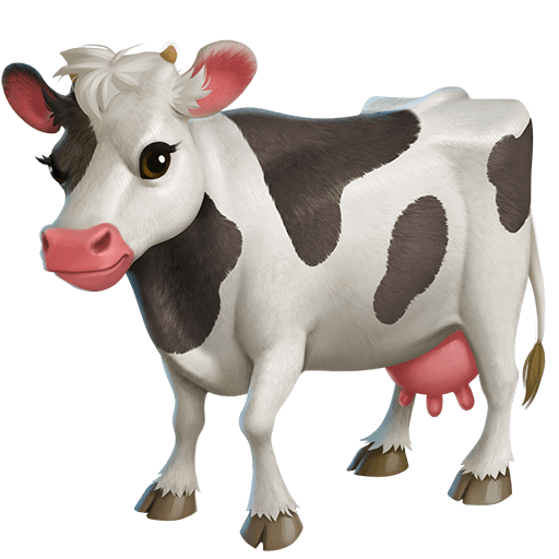 Mucca