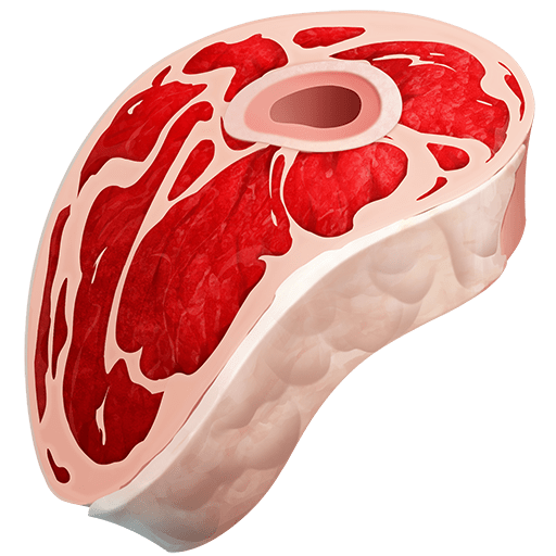 Taglio Di Carne