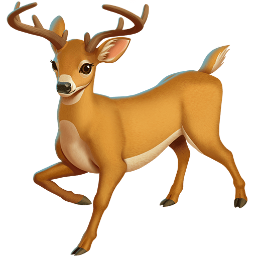 Cervo