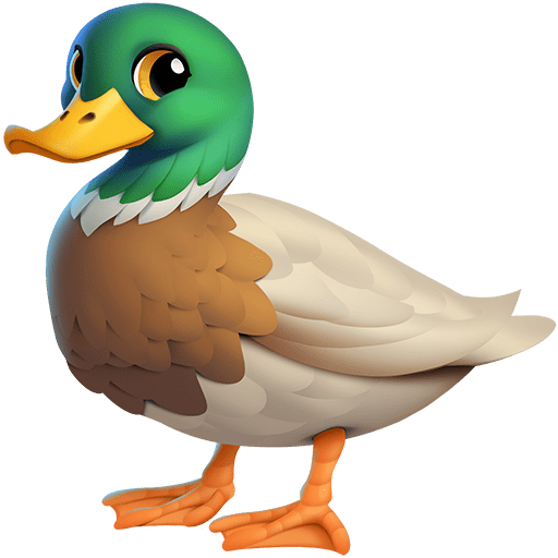 Anatra