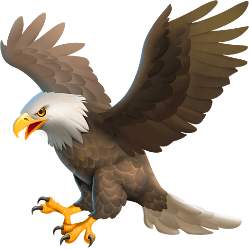 Aquila