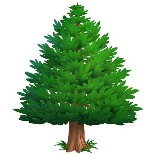 Albero Sempreverde