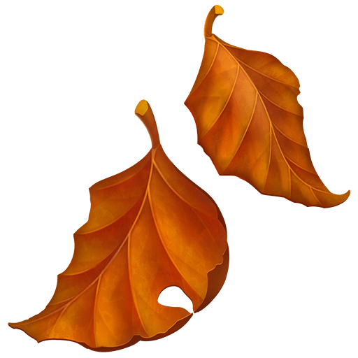 Foglia Caduta