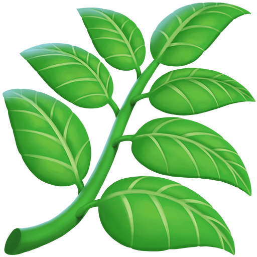Pianta